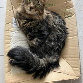 ふわふわボディのソウくん♡