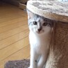 3か月　男の子 サムネイル2