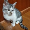 3か月　男の子 サムネイル3
