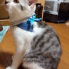 3か月　男の子 サムネイル5