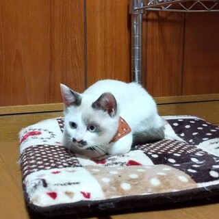 ３か月　女の子