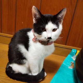 ３か月　女の子