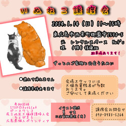 いぬねこ譲渡会