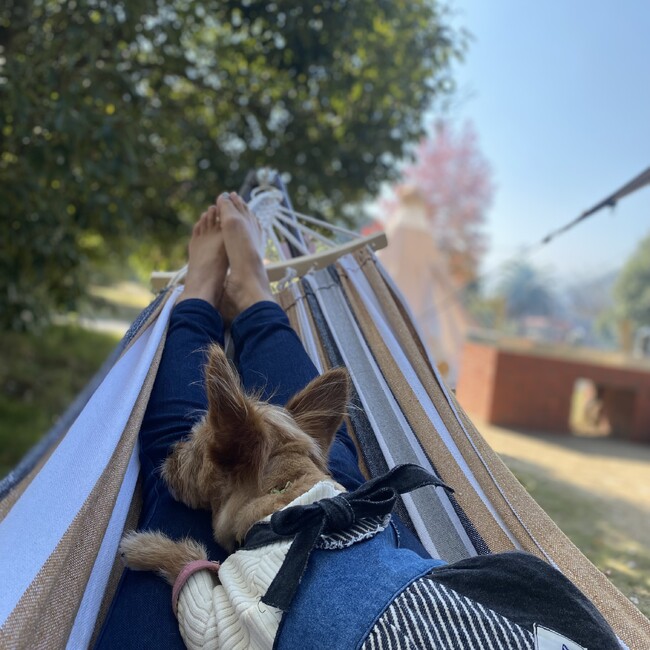 クウアロハのカバー写真