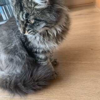 【ワクチン接種済】4か月の元気いっぱいな女の子