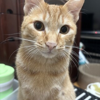 素敵な家族と出会えました