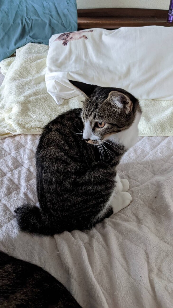  7ヶ月 女の子 サムネイル3