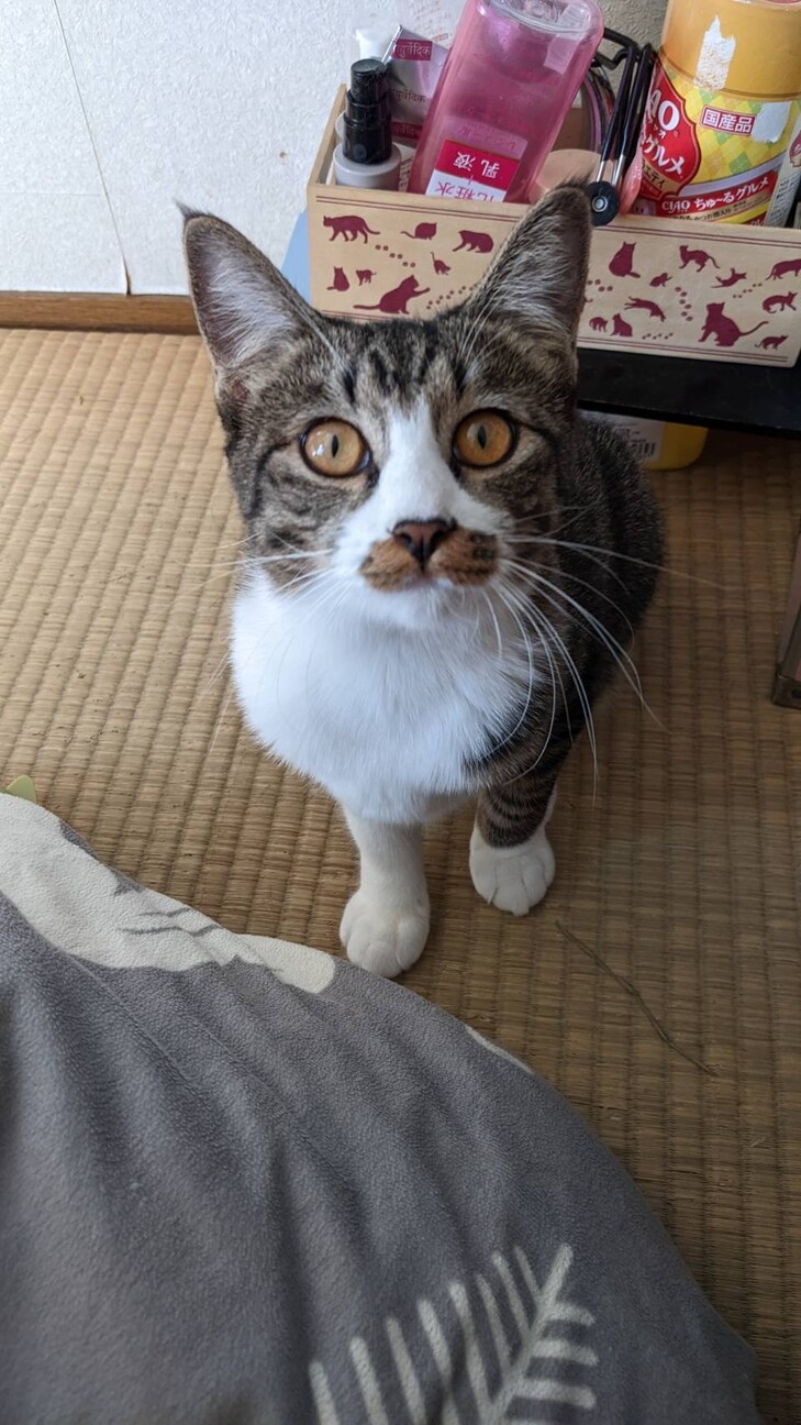  7ヶ月 女の子 サムネイル4