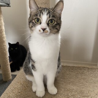 ෆ⃛大人しい性格ですෆ⃛めめちゃん