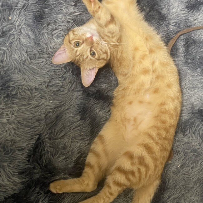 と〜さんのカバー写真