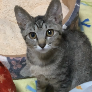 小柄でも活発　元気いっぱいな女の子