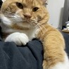 大きくなりました！笑