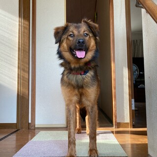 「ココア」女の子