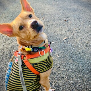 性格ハナマル！お見合い可能です！