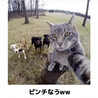 ともともともともひろ