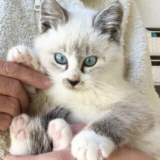 甘えたの元気な男の子