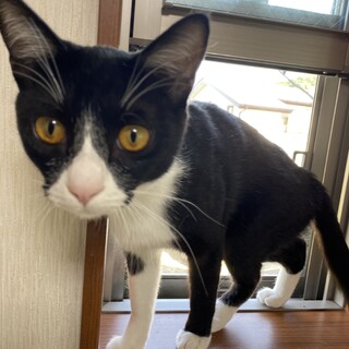 兄弟のような仲良し男の子2人組　甘ったれです