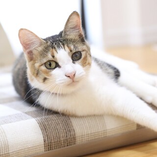 1/28高田馬場★茉莉ちゃん★全力かまってちゃん