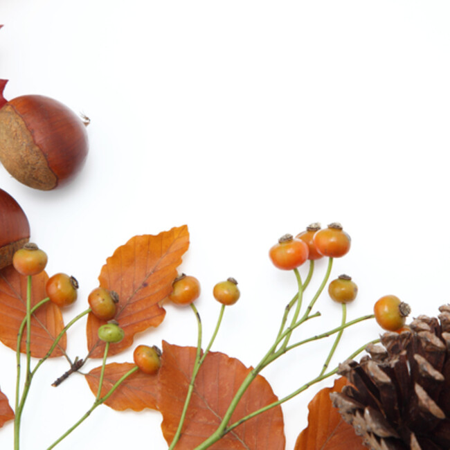 ベルシファのカバー写真