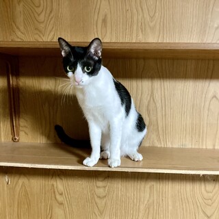 口元のホクロがチャームポイントの元気な女の子