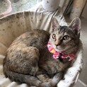穏やかで甘えん坊♪ おっとり女子シンシン