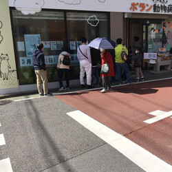 12/10(日)猫の譲渡会 サムネイル3