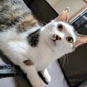 これからは自分が幸せに★あけみちゃん