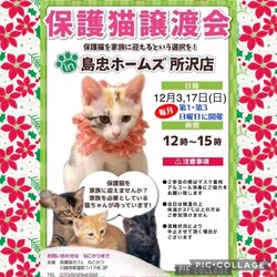 12月3日（日）島忠ホームズ所沢店譲渡会！