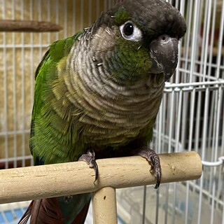 【ご家族が見つかりました。ありがとうございました】