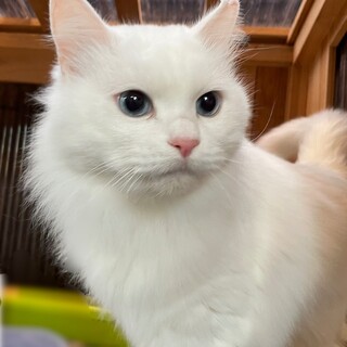 家族として大切にしてくださる方