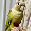 【ご家族が見つかりました。ありがとうございました】