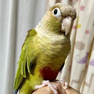 【ご家族が見つかりました。ありがとうございました】