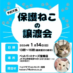 保護猫の譲渡会 in 宝塚