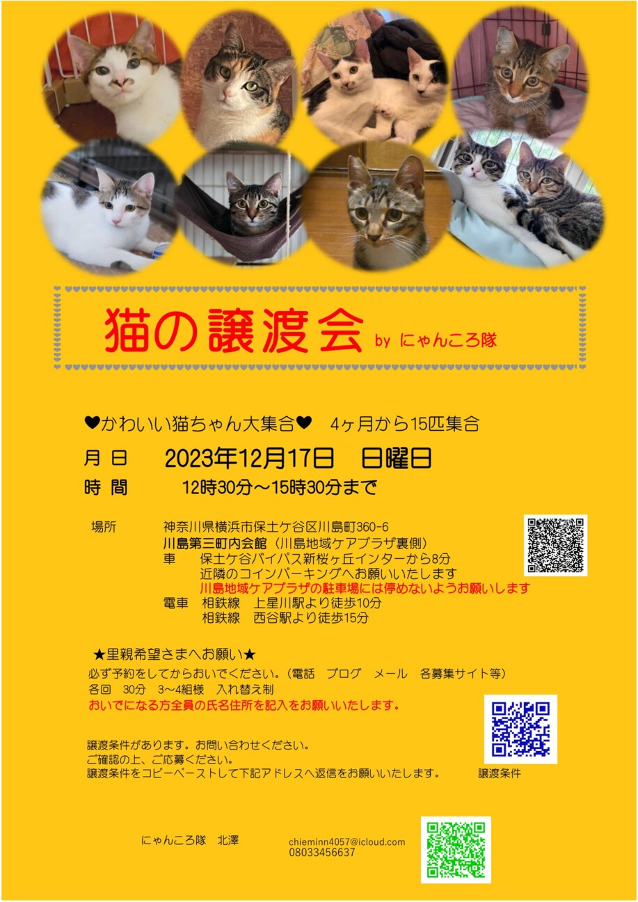 12月17日 猫の譲渡会」（にゃんころ隊のイベント #20943