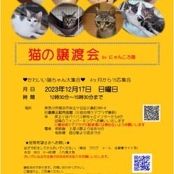 12月17日　猫の譲渡会　by にゃんころ隊
