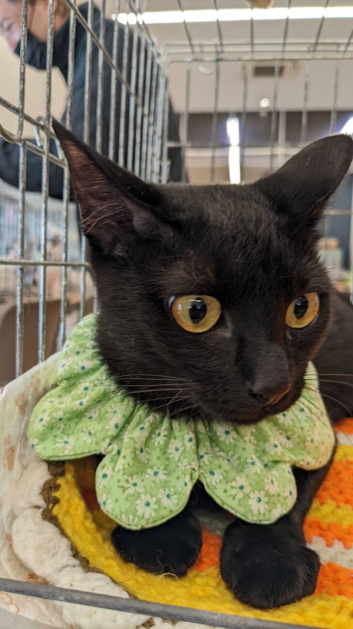  7ヶ月 女の子 サムネイル7