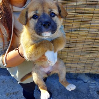 助けてくださぃ!!