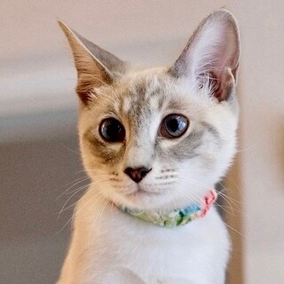 ナムサイ♡家族ができました