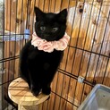 まるくてかわいい♡綾御前ちゃん♡