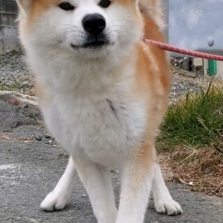 一旦　募集を締め切ります