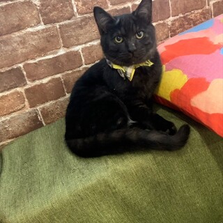 人が大好きでたまらにゃい♡くろっぽ