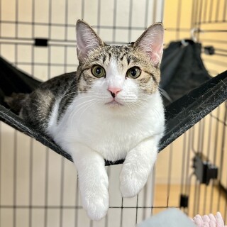 【3/10東銀座】せなくん★9ヵ月半♪