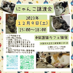 にゃんこ譲渡会