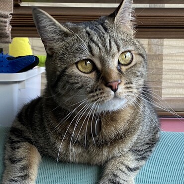 の写真
