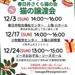 保護猫の譲渡会in小牧