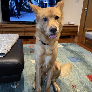 内容変更に伴い再投稿します。