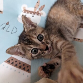 活発なまいちゃん