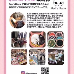 「12月10日(日)　島忠ホームズ東村山店譲渡会！」サムネイル2