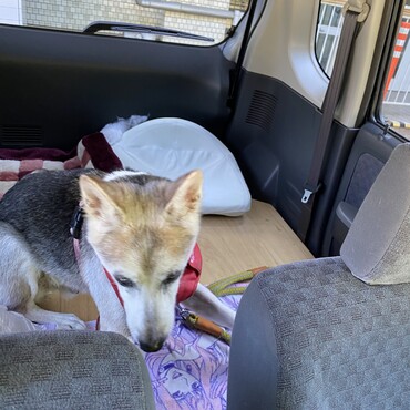 車内を改良してフラットにしてます。