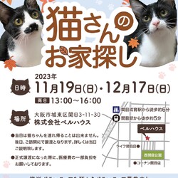 第64回 ViVAキャッツ譲渡会